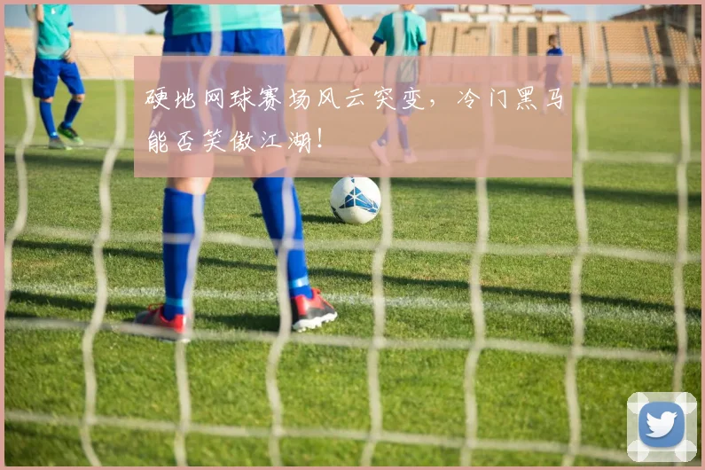 硬地网球赛场风云突变，冷门黑马能否笑傲江湖！