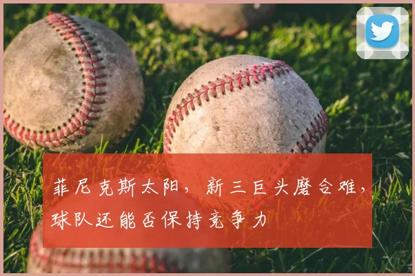 菲尼克斯太阳,新三巨头磨合难,球队还能否保持竞争力