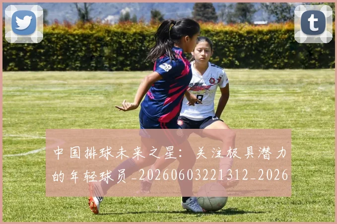 中国排球未来之星:关注极具潜力的年轻球员_20260603221312_20260702202559_20260717234405