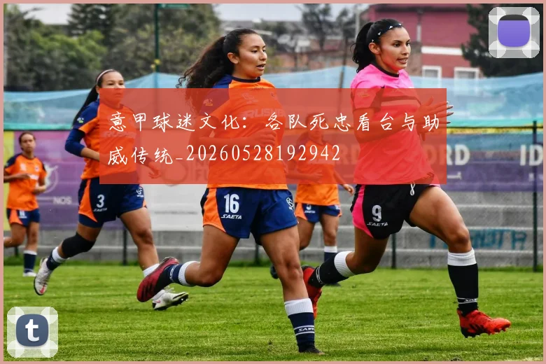 意甲球迷文化:各队死忠看台与助威传统_20260528192942
